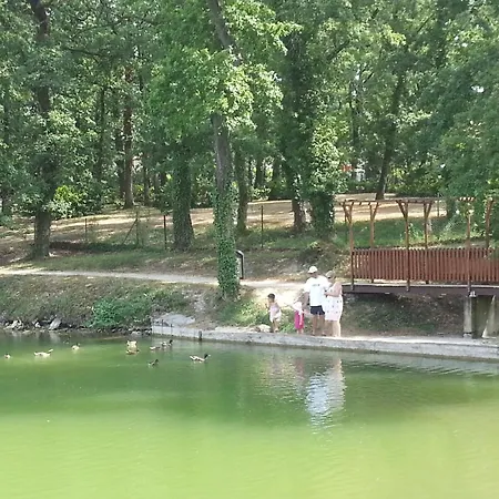 4 Pers1 Chb Du Lac Vue Sur Les Bois Apartment Monflanquin