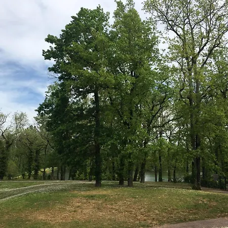 Lägenhet 4 Pers1 Chb Du Lac Vue Sur Les Bois Monflanquin